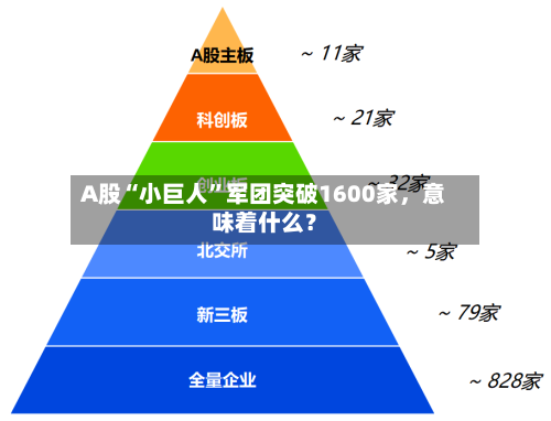 A股“小巨人	”军团突破1600家，意味着什么？-第3张图片