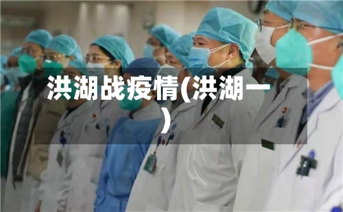 洪湖战疫情(洪湖一)