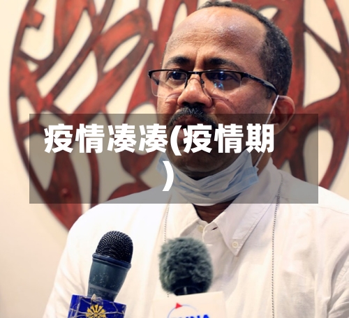 疫情凑凑(疫情期)