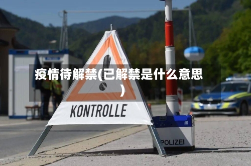 疫情待解禁(已解禁是什么意思)
