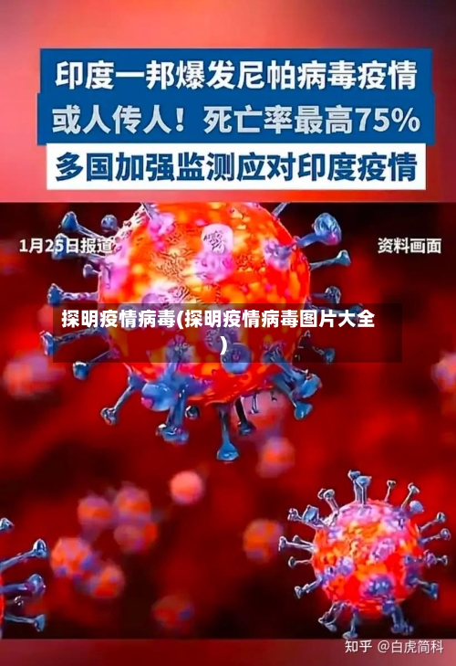 探明疫情病毒(探明疫情病毒图片大全)
