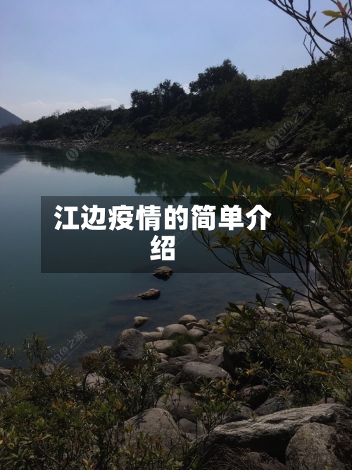 江边疫情的简单介绍