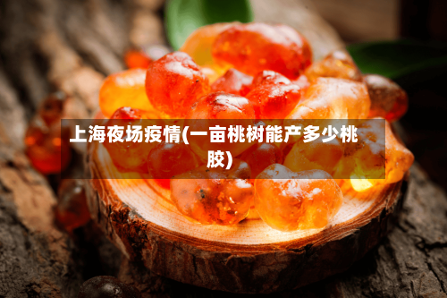 上海夜场疫情(一亩桃树能产多少桃胶)-第3张图片