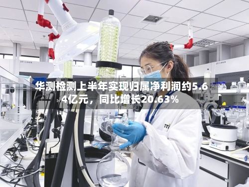 华测检测上半年实现归属净利润约5.64亿元，同比增长20.63%-第2张图片