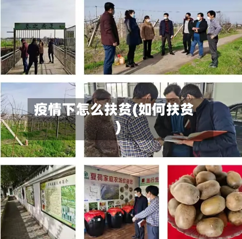 疫情下怎么扶贫(如何扶贫)-第3张图片