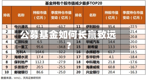 公募基金如何长赢致远？-第2张图片