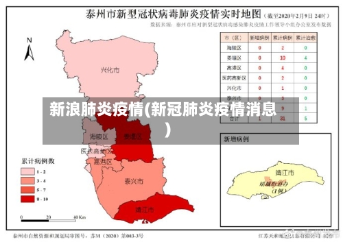 新浪肺炎疫情(新冠肺炎疫情消息)-第2张图片