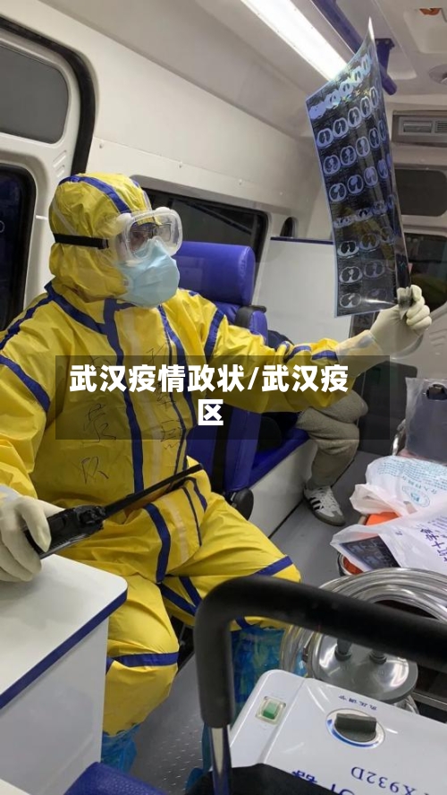 武汉疫情政状/武汉疫区