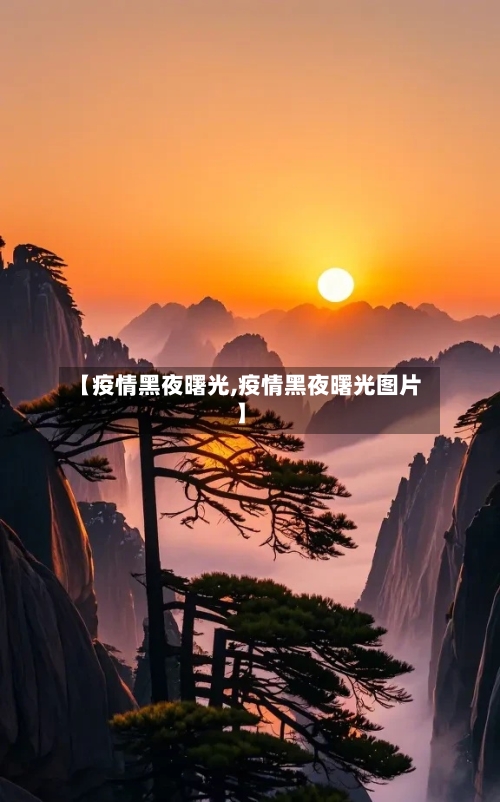 【疫情黑夜曙光,疫情黑夜曙光图片】-第3张图片