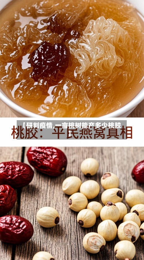 【研判疫情,一亩桃树能产多少桃胶】