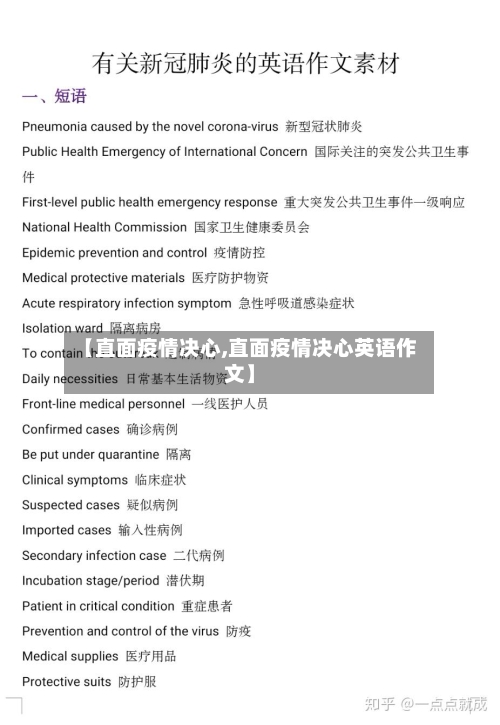 【直面疫情决心,直面疫情决心英语作文】-第2张图片