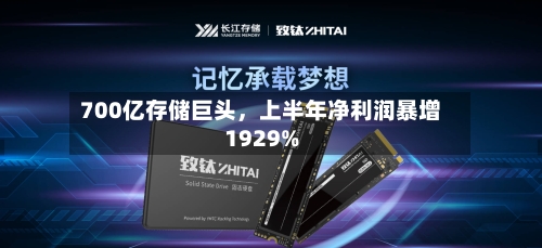 700亿存储巨头	，上半年净利润暴增1929%-第3张图片
