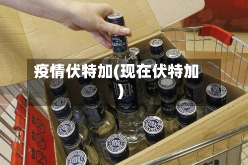 疫情伏特加(现在伏特加)