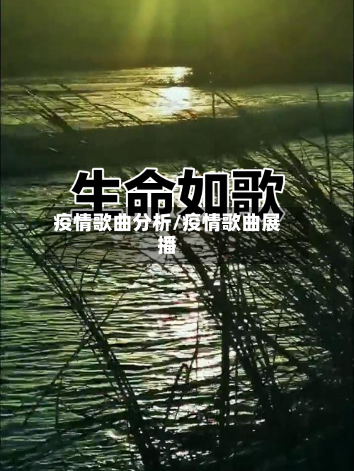 疫情歌曲分析/疫情歌曲展播-第3张图片