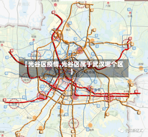 【光谷区疫情,光谷区属于武汉哪个区】-第3张图片