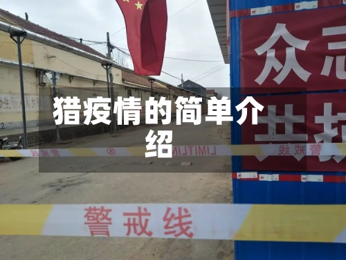 猎疫情的简单介绍-第3张图片