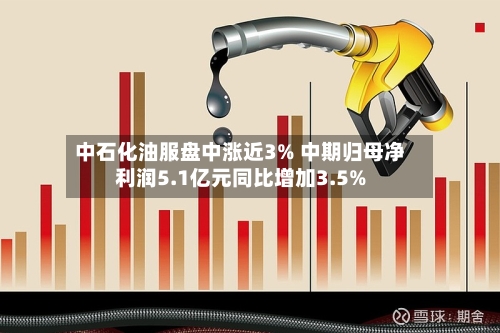 中石化油服盘中涨近3% 中期归母净利润5.1亿元同比增加3.5%