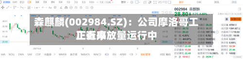 森麒麟(002984.SZ)：公司摩洛哥工厂近来正有序放量运行中-第2张图片
