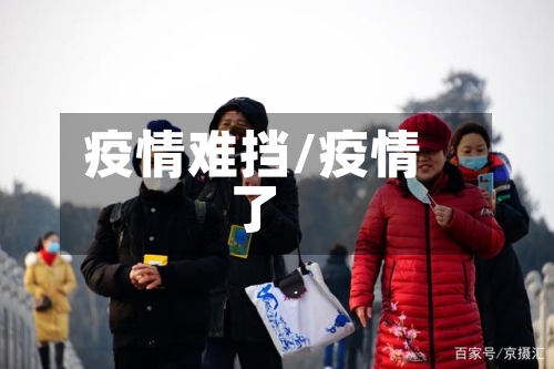 疫情难挡/疫情了