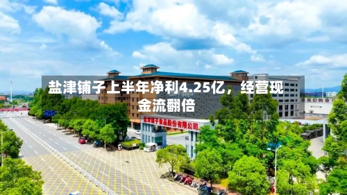 盐津铺子上半年净利4.25亿，经营现金流翻倍