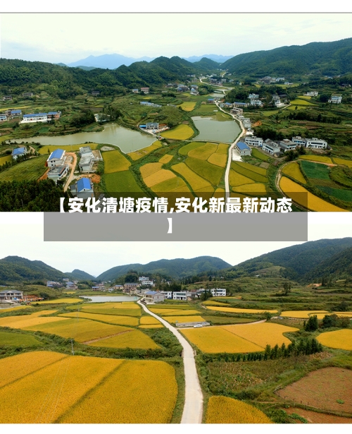 【安化清塘疫情,安化新最新动态】