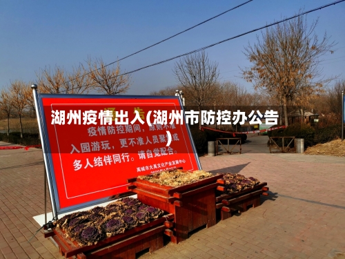 湖州疫情出入(湖州市防控办公告)-第2张图片