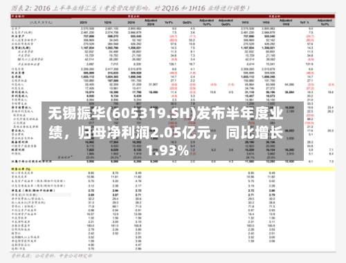 无锡振华(605319.SH)发布半年度业绩	，归母净利润2.05亿元，同比增长1.93%-第2张图片