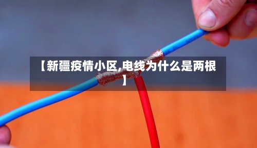 【新疆疫情小区,电线为什么是两根】-第2张图片