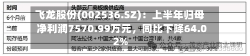 飞龙股份(002536.SZ)：上半年归母净利润7570.99万元	，同比下降64.02%-第2张图片