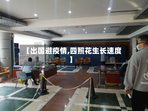 【出国避疫情,四照花生长速度】-第3张图片