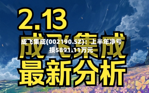 成飞集成(002190.SZ)：上半年净亏损5891.11万元-第2张图片