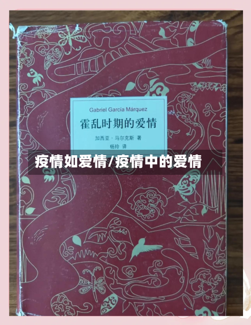 疫情如爱情/疫情中的爱情-第2张图片
