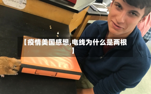 【疫情美国感想,电线为什么是两根】-第2张图片