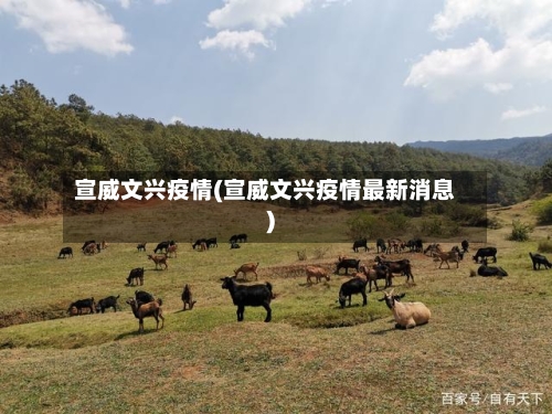 宣威文兴疫情(宣威文兴疫情最新消息)