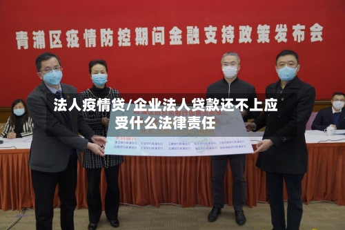 法人疫情贷/企业法人贷款还不上应受什么法律责任-第2张图片