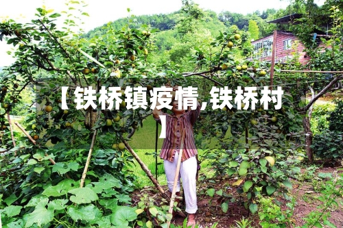 【铁桥镇疫情,铁桥村】