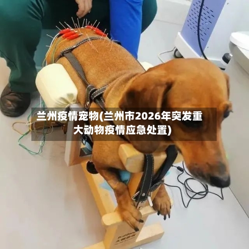 兰州疫情宠物(兰州市2026年突发重大动物疫情应急处置)-第2张图片