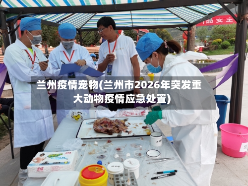 兰州疫情宠物(兰州市2026年突发重大动物疫情应急处置)