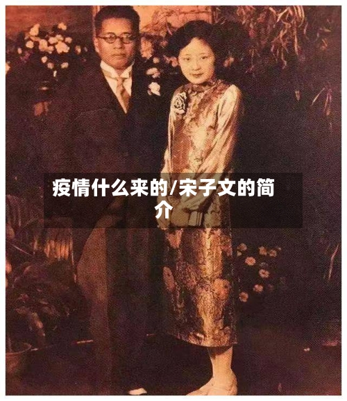 疫情什么来的/宋子文的简介-第2张图片