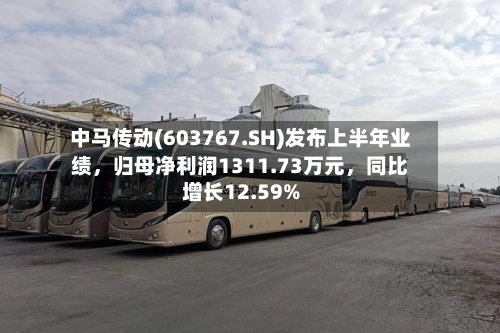 中马传动(603767.SH)发布上半年业绩，归母净利润1311.73万元，同比增长12.59%-第3张图片