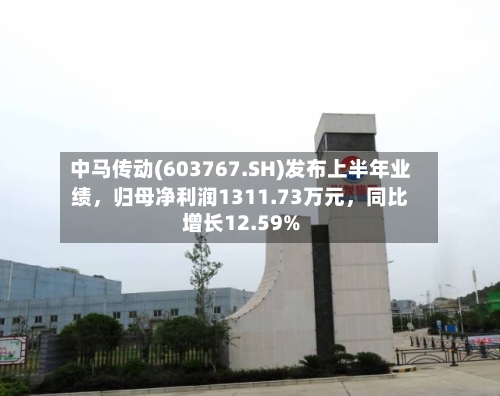 中马传动(603767.SH)发布上半年业绩，归母净利润1311.73万元	，同比增长12.59%-第2张图片