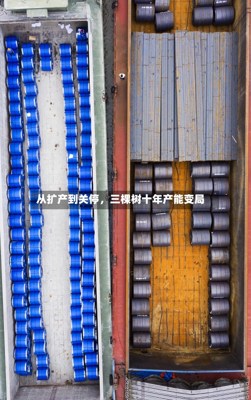 从扩产到关停	，三棵树十年产能变局-第3张图片