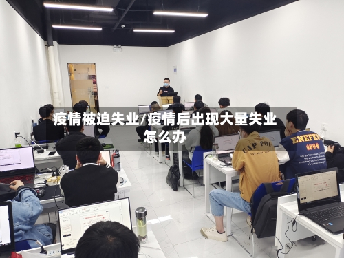 疫情被迫失业/疫情后出现大量失业怎么办-第3张图片