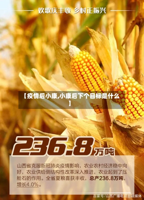 【疫情后小康,小康后下个目标是什么】