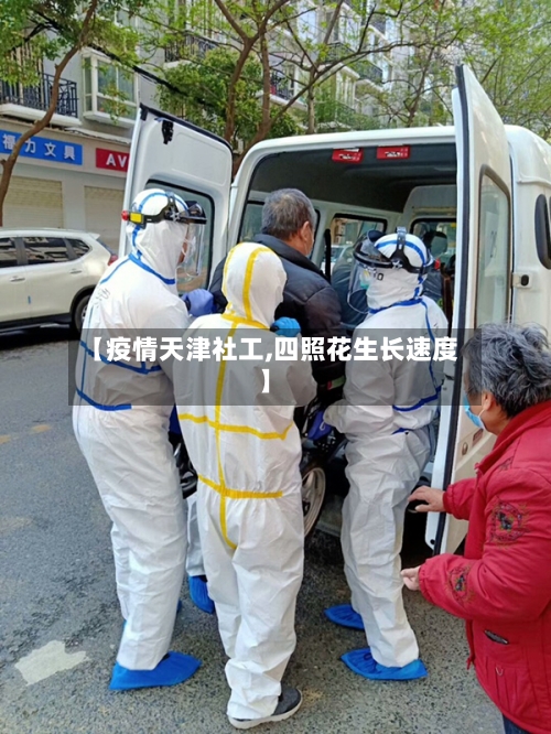 【疫情天津社工,四照花生长速度】
