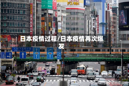 日本疫情过程/日本疫情再次爆发-第2张图片