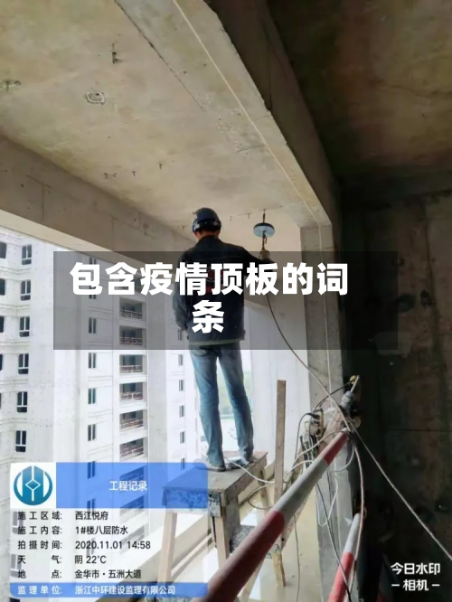 包含疫情顶板的词条