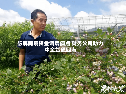 破解跨境资金调度痛点 财务公司助力中企货通四海-第2张图片