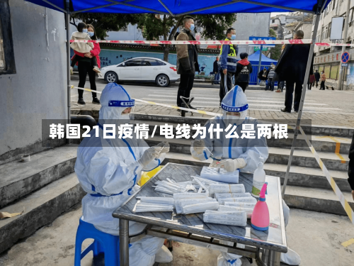 韩国21日疫情/电线为什么是两根-第2张图片