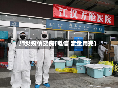 肺炎疫情买房(电信 流量用完)-第3张图片